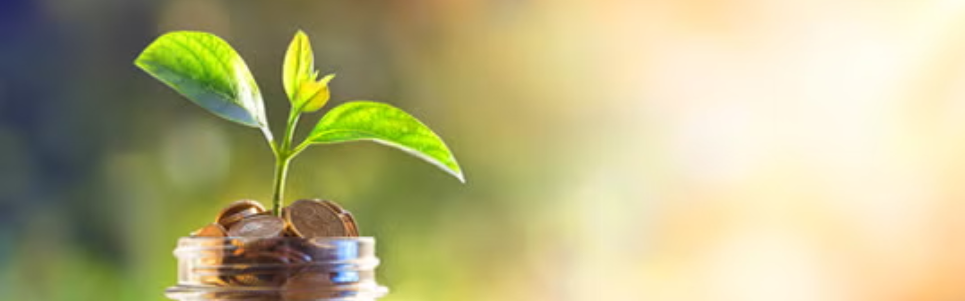 banner_image_bg